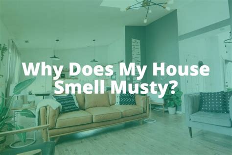 Why does my house smell musty. Things To Know About Why does my house smell musty. 